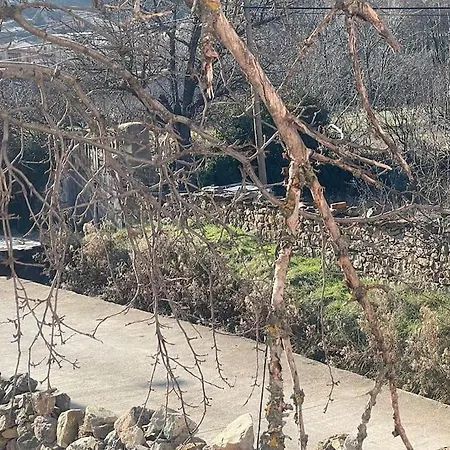 Acogedora Casa Con Patio-parking